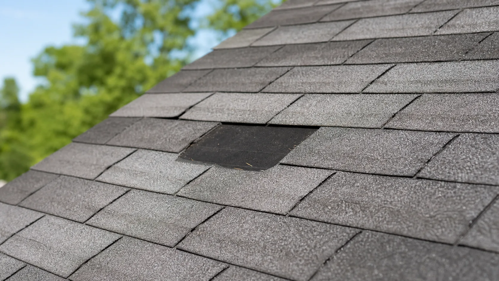 Missing roof shingle exposing the underlayment beneath.